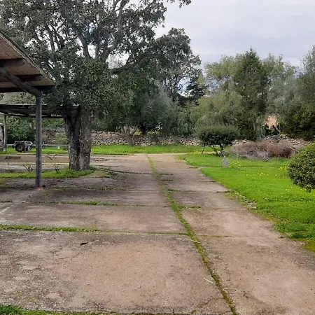 Vakantiehuis Caposchiera Sul Mare Punta Asfodeli